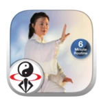 Logo of Tai Chi for Beginners 24 Form android Application 