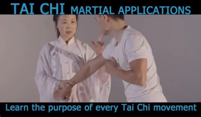 Tai Chi for Beginners 24 Form android App screenshot 11