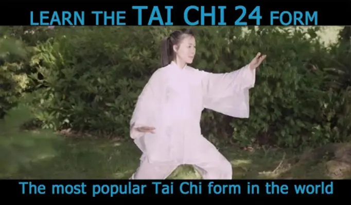 Tai Chi for Beginners 24 Form android App screenshot 13